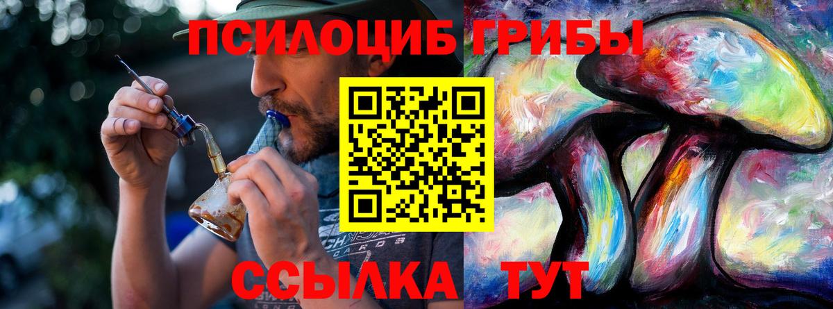 магазин  наркотиков  Вход с VPN  Псков  Галлюциногенные грибы Psilocybine cubensis 